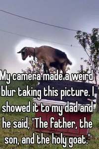 fnafan's Photo