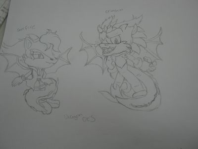 Dragon OC's
