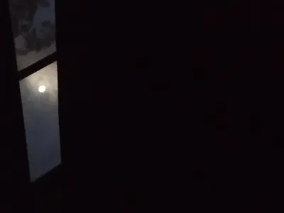 I woke up with moonlight on my face, I'm still looking at it, it's so beautiful!