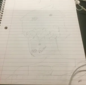 Day 6