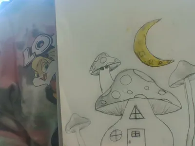 I finished the mushroom house