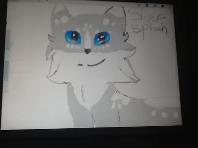 Sliversplashthecat's Photo