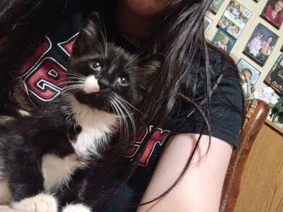 Her mom died so we took her in, any name suggestions?