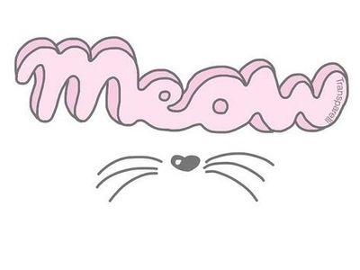 shirelle.cat