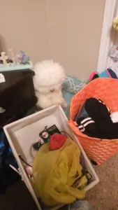 she try to escape