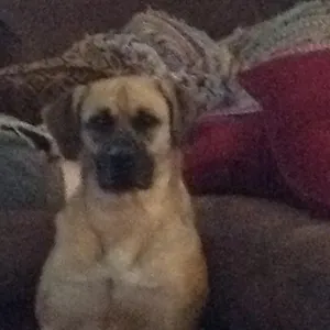 Please stop staring at me daughter. You're making your father uncomfortable
