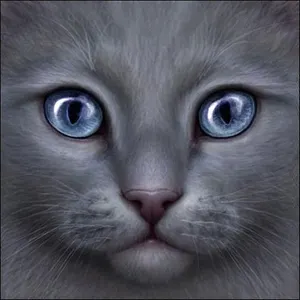 Bluestar_74