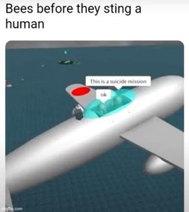 remember this before you trigger a bee