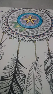 What I coloured so far