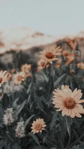 Elikai's Photo