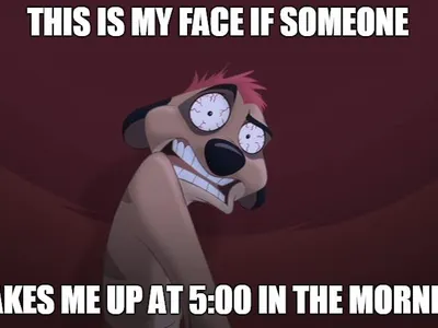 XD that actually would be my face in the mornings