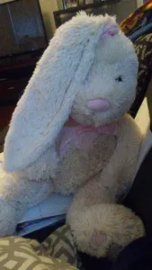 naming him lexi bc he looks like a bunny skrillex w/ his ears like that :3c