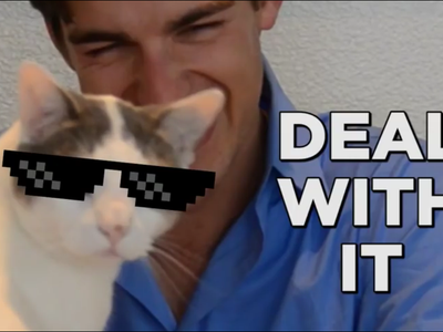 Am I the only one who adores CatPat?
