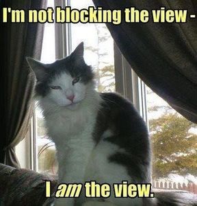 this is me