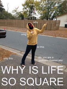 OMG XD