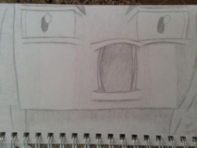This was supposed to be my first attempt at the last photo...but it turned into a Creeper...