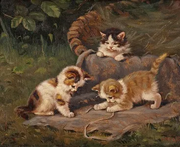 internet.kitten's Photo