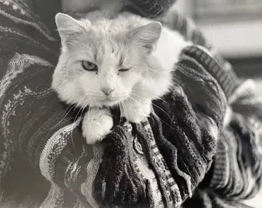 analog.whore's Photo analog.whore's Photo