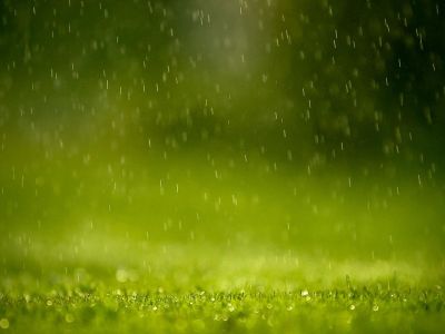 Rain ♥