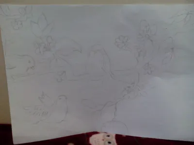 My sketch