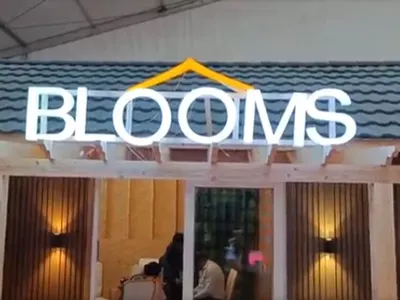 Bloomsindia's Photo