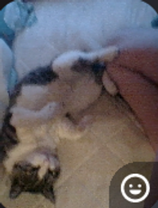 I was on call with him when this happened, look at my baby