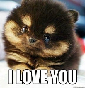 To my love