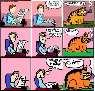 Yourlocalcatperson's Photo