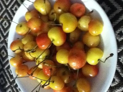 Mosley's Photo