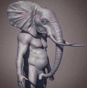 abortion's Photo
