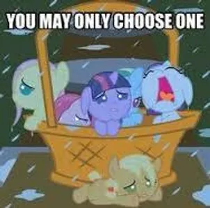 NO! WHY!