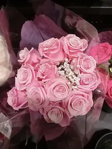 internet.kitten's Photo