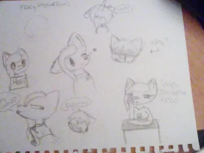 Darky_the_Wolf_Dog's Photo
