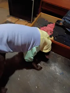 Attack.helicopter's Photo