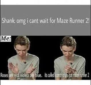 Cashmere's Photo