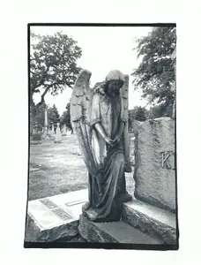 analog.whore's Photo