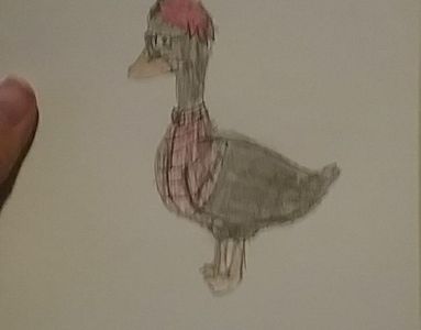 Markiduck