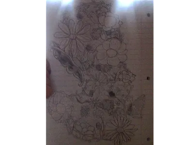 Sorry it's so fuzzy >.< this is my drawing so far. That thing on the side is my hand btw XD