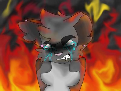 I drew Ashfur and I’m proud of it for some reason????