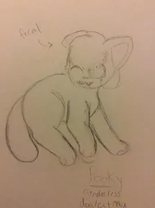 Help me found out how to color this??
