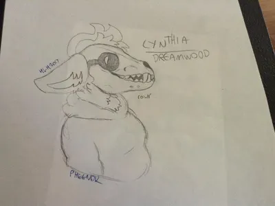 By:Pheenok (my cousin)