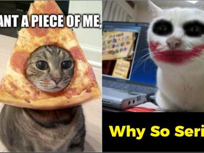 Which one? @w@