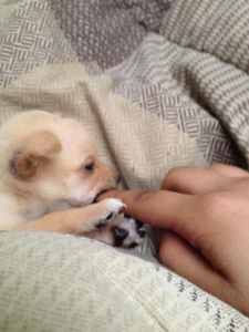 Help my son is eating me