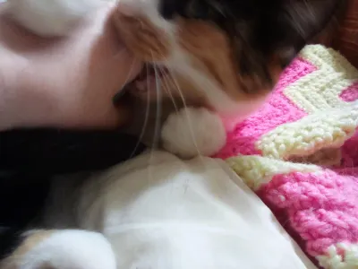AGH SHES BITING ME
