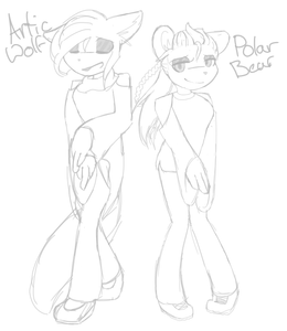 Wolf..or bear