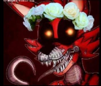 Foxy_is_Boss Foxy_is_Boss