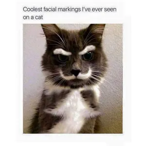 Fiendish_Heathen's Photo