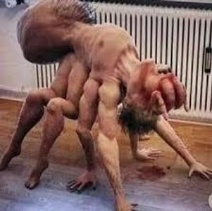 TF IS THIS!?!