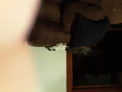T6ntymtu