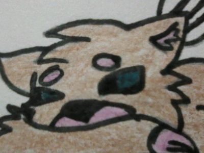 Time Cat's eyes are cute